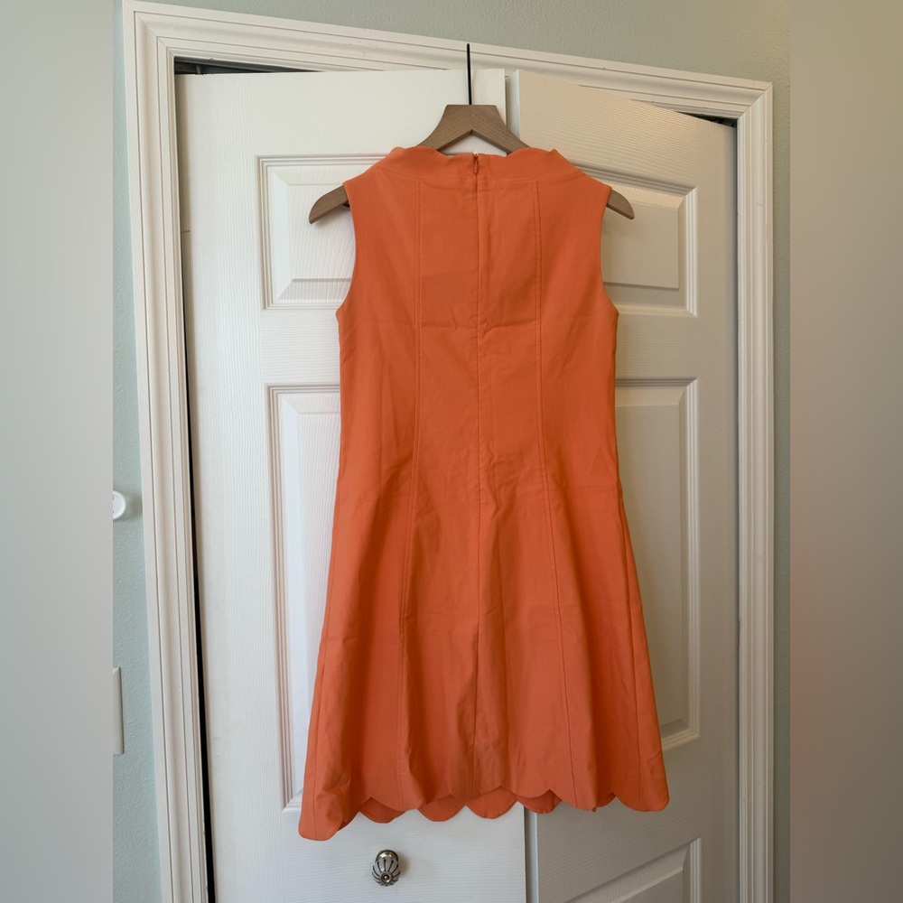 Sara Campbell Orange Signature Stretch Scallop Dress - Picture 5 of 6